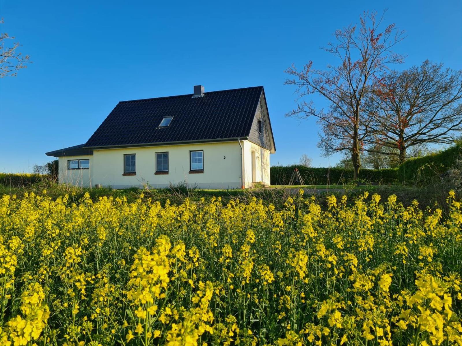 Ferienhaus Loimoos Schnarup-Thumby Exteriér fotografie